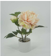 [FLOWER POT 30cm Potted peony in melamine pot (Pot size: D10*H9cm)] FLOWER POT (CH11623696)