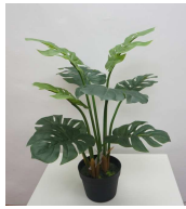 [PLANTS 68cm Real touch monstera tree x 9,in pot] PLANTS (CH12614008) LARGE