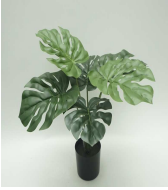 [PLANT 45cm Real touch monstera x 6lvs in plastic pot] PLANTS (CH12622289) SMALL