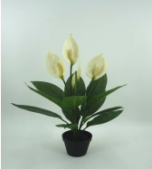 [PLANT 61cm Real touch spathiphyllum in plastic pot (Pot size: D126 x H110mm)] PLANTS (CH12524408)